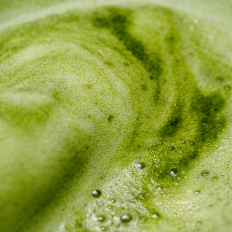 Does Matcha Cause Hair Loss?
